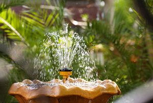 An outdoor water fountain. 