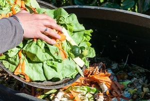 woman composting food waste