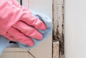 gloved hand cleaning mold off a wooden window frame with a rag