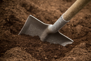 A shovel in soil.
