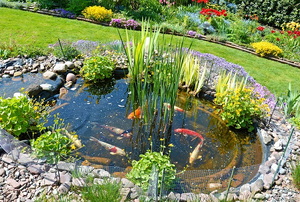 Koi pond in a landscaped yard