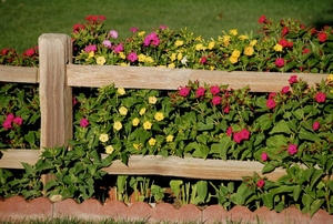 A wood fence.
