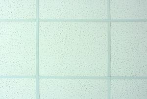 A background of suspended ceiling tiles.