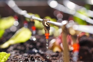 drip irrigation system