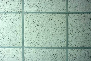 Suspended Ceiling