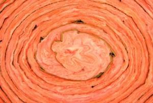 An end-on, close-up view of a pink roll of batt insulation.