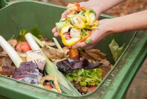 compost bin with compost