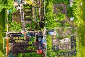 homesteading gardens seen from above