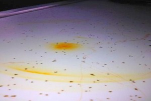 A Formica countertop with a burn mark.