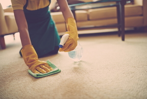 Spraying the carpet with a light detergent to clean a stain.