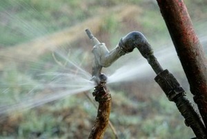 A water pressure regulator attached to a spraying pipe.