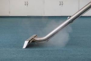 steam carpet cleaner