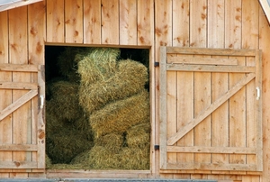 A horse stable.
