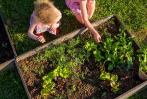 kids near raised garden beds