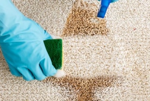 gloved hands cleaning carpet with spray and sponge