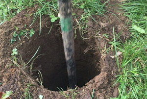 a hole in a lawn with an auger pole