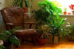 A comfortable chair surrounded by houseplants.