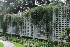 A steel fence.