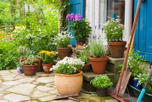 Entryway surrounded by potted plants