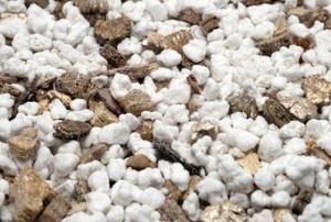 a perlite soilless potting mix