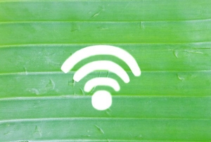 A wifi signal against a green background.