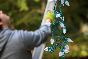 A man setting up a ladder with a bundle of Christmas lights hanging next to him.
