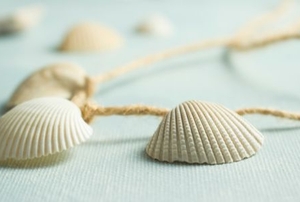 shell and twine necklace