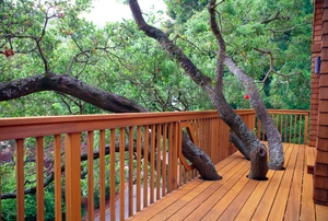 A deck with a tree in it.