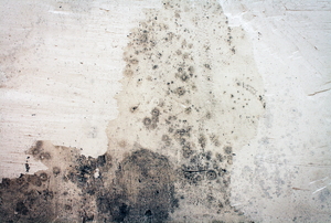 A wall with mold on it.