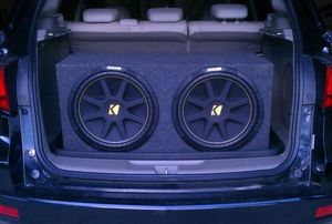 Subwoofers in the trunk of a car