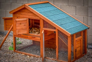 wooden chicken coop with a blue roof
