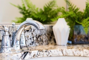 marble countertop around bathroom sink with small fern plants