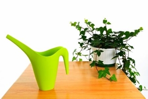 Green watering can and ivy in pot.