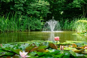 A floating pond fountain.
