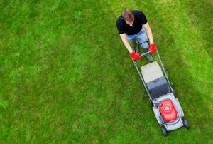 Man mowing lawn, shot from over head.