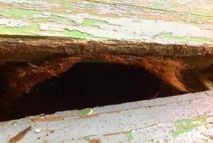 Old oakum exposed between old deck boards.