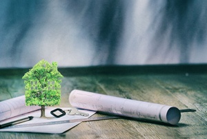 Building plans with a tree shaped like a house growing from them.