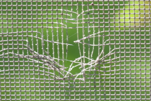 A close-up of a window screen with holes in it.