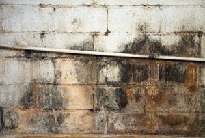 basement leak