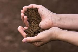 A pair of hands with brown soil in them.