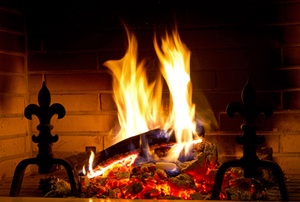 Andirons in a fireplace.