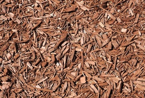 Mulch in a garden.