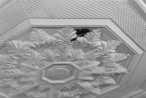 A white ceiling tile with a floral design.