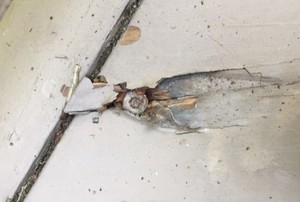 a screw embedded in a deck