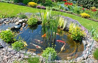 Installing a Pond Pump and Filter | DoItYourself.com