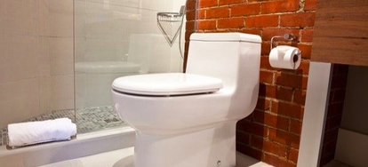 5 Reasons To Choose A 1 Piece Toilet Over 2 1 Piece Toilets And 2 Share Many Things In Common They Both Serve The Same Purpose Most Of Them Go About It By Flushing Way