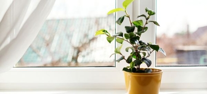 if you want a garden window for your home but are afraid of high garden window prices dont fret there are a couple of ways you can cut costs to stay - Garden Window Prices if you want a garden window for your home but are afraid of high garden window prices dont fret there are a couple of ways you can cut costs to stay - Garden Window Prices