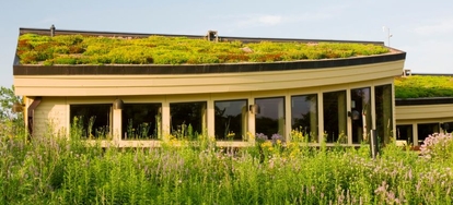 How to Build a Green Roof on Your Shed | DoItYourself.com