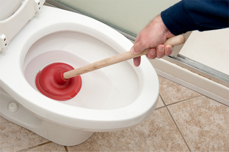 A plunger in a toilet.