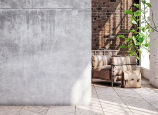 concrete interior wall with plants